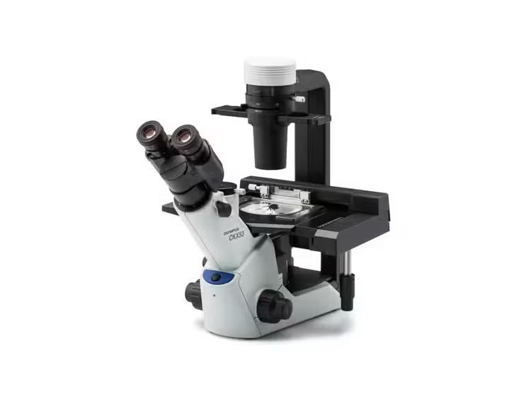 Inverted bright field and phase contrast microscope with camera + Laptop